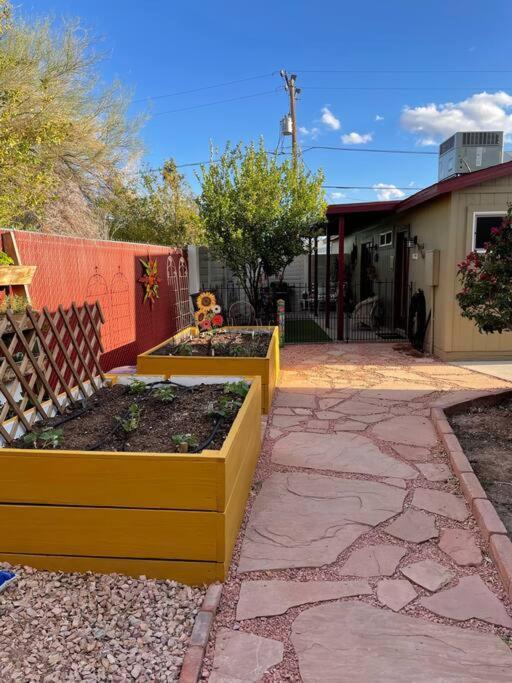 Encanto Cactus Flower Casita Феникс Экстерьер фото